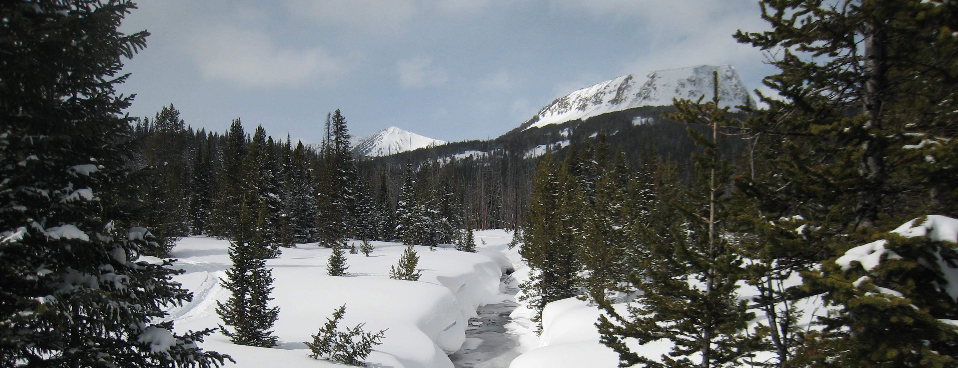 Snow-Creek